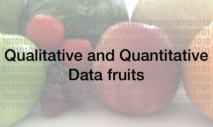 Company logo, a picture of fruit overlayed with a horizontal band of ones and zeros overlayed with the company name: Qualitative and Quantitative Data fruits